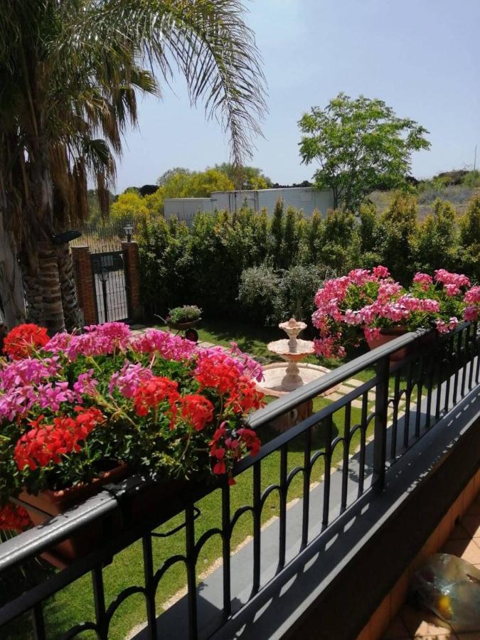 B&B Villa Salome' San Pietro Clarenza Екстер'єр фото